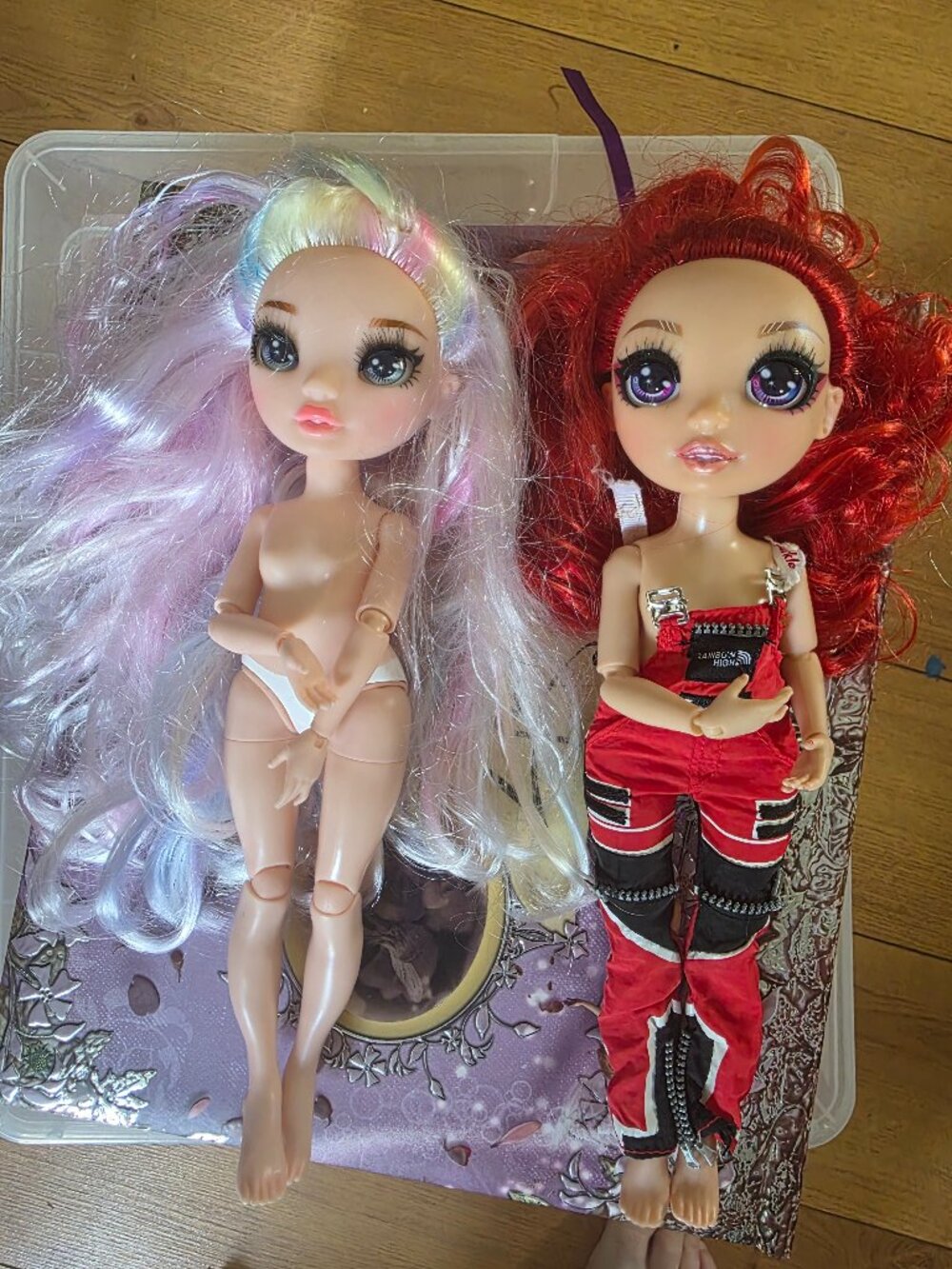 Rainbow High Doll Lot